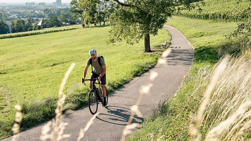 Ein JobRadler auf einem Fahrradweg im Grünen am Schlierberg