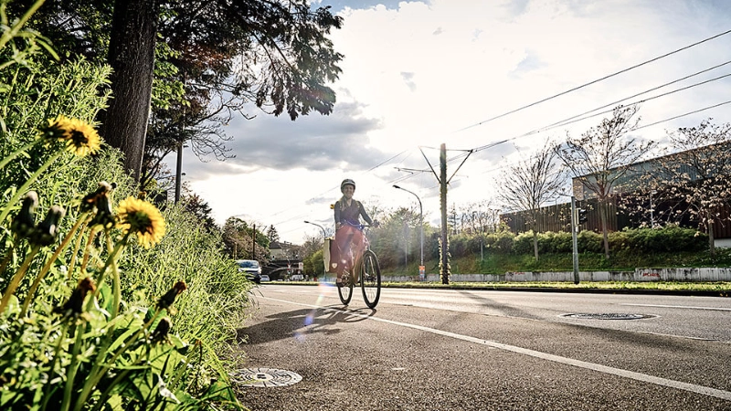 JobRadlerin auf Fahrradweg im Vordergrund Wiese, Baum und Löwenzahn