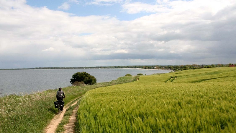 Bild vom Ostseeradweg